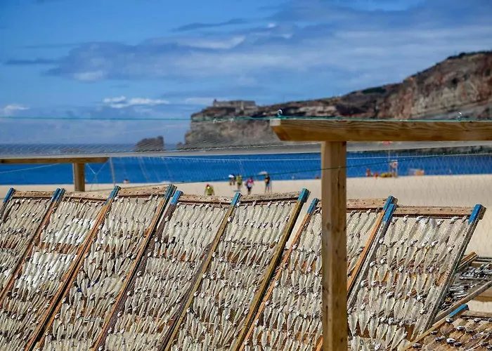 Casa Peixe 나자레